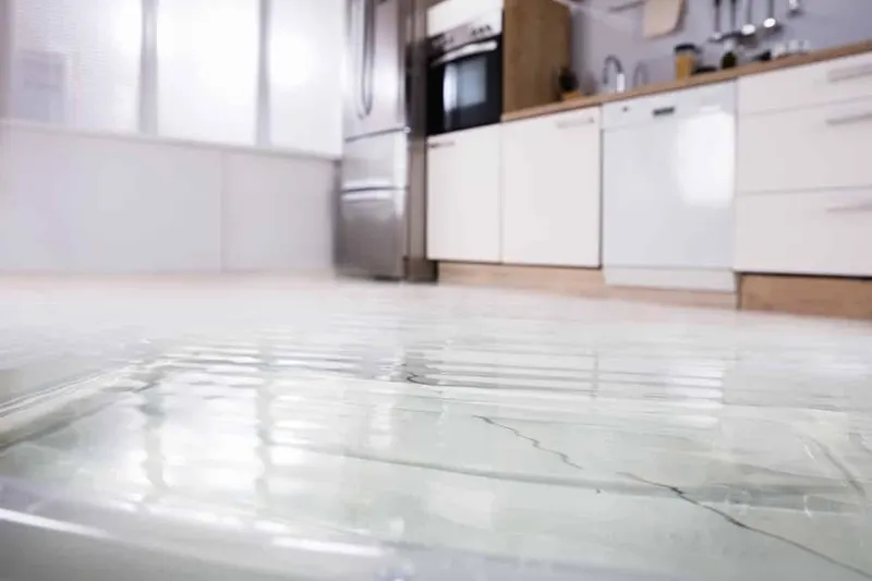 dishwasher-leaks-water