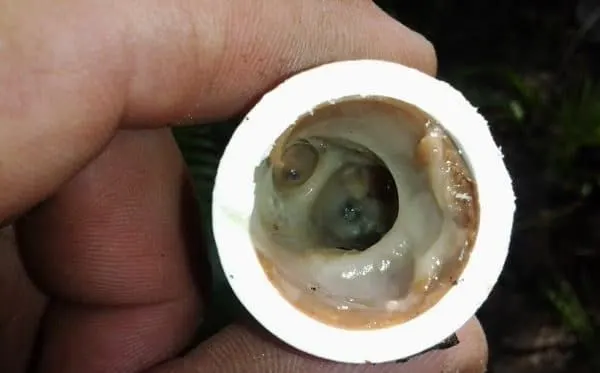 ac drain pan clogged